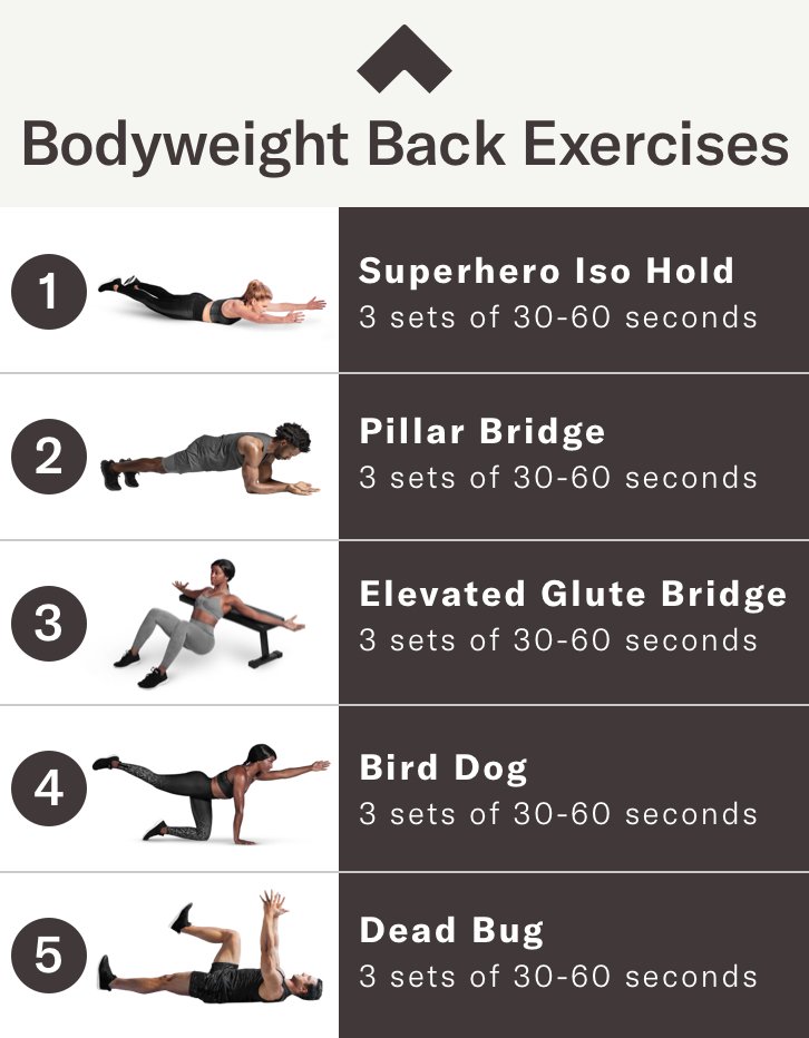 The Ultimate Guide to Back Workouts for Home: Building Strength Without a Gym