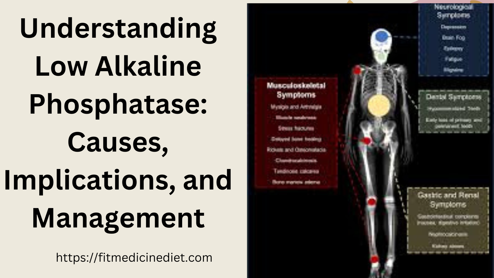 Understanding Low on alkaline phosphatase best information 2024: Causes, Implications, and Management