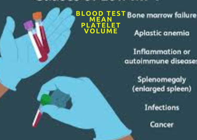 Understanding Mean blood test mean platelet volume best 2024: What You Need to Know