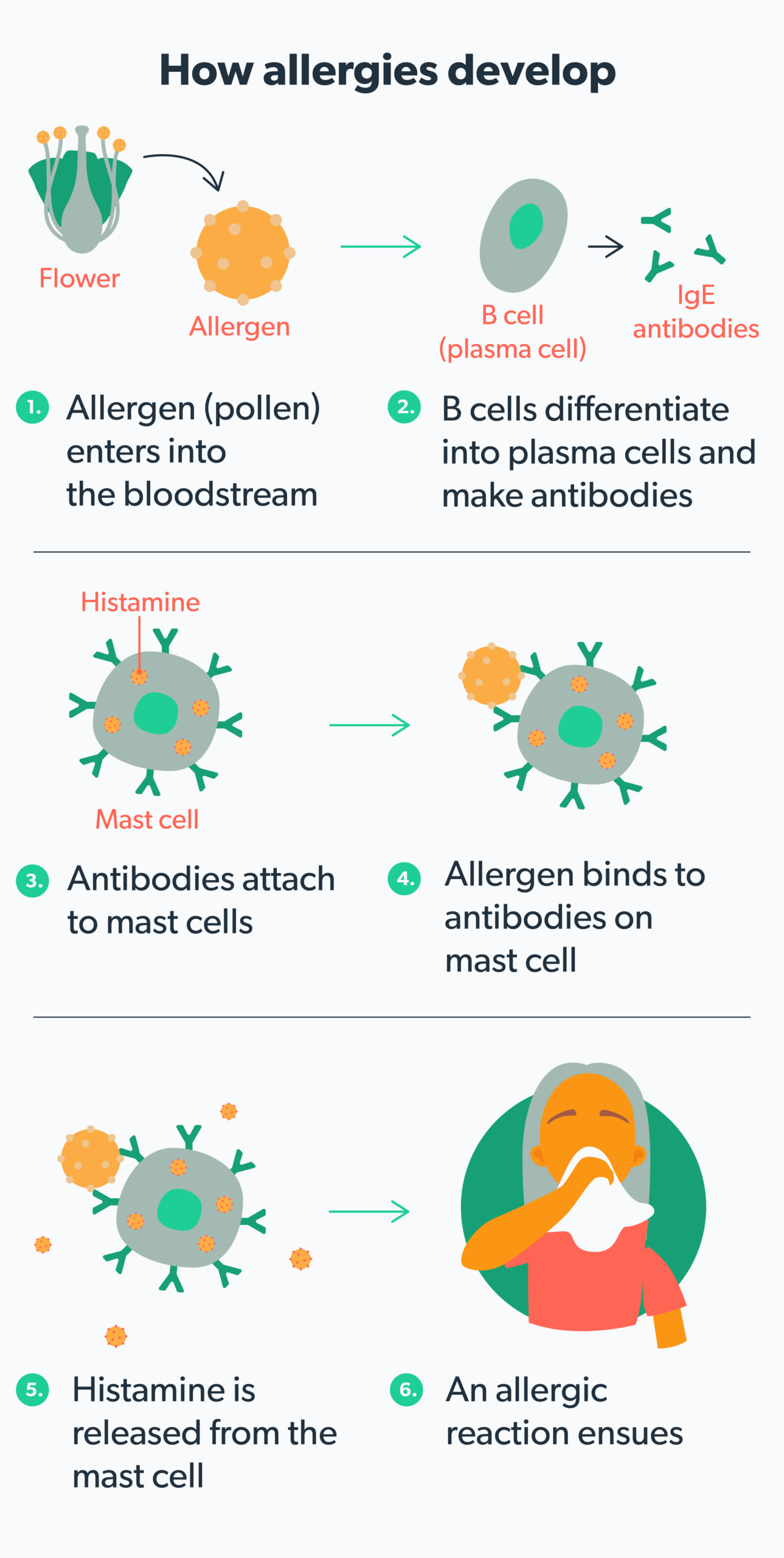 Understanding the Side Effects of Xyzal best information 2024: What You Need to Know